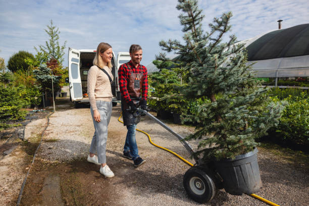 Best Tree Trimming Near Me  in Alum Rock, CA